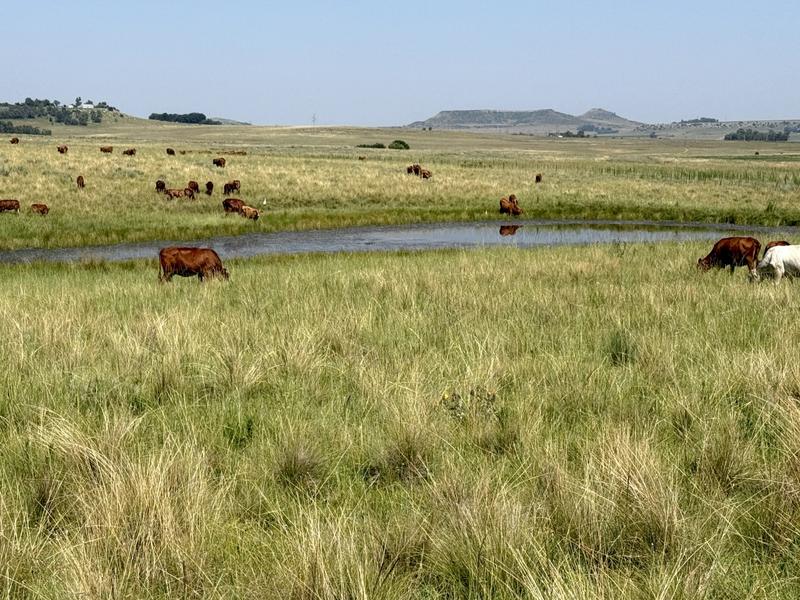 0 Bedroom Property for Sale in Bethlehem Rural Free State